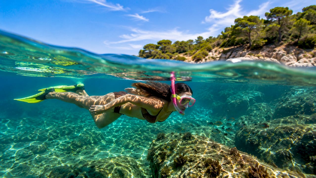 Snorkeling tra i fondali cristallini dell’Isola d’Elba, alla scoperta delle meravigliose barriere coralline.